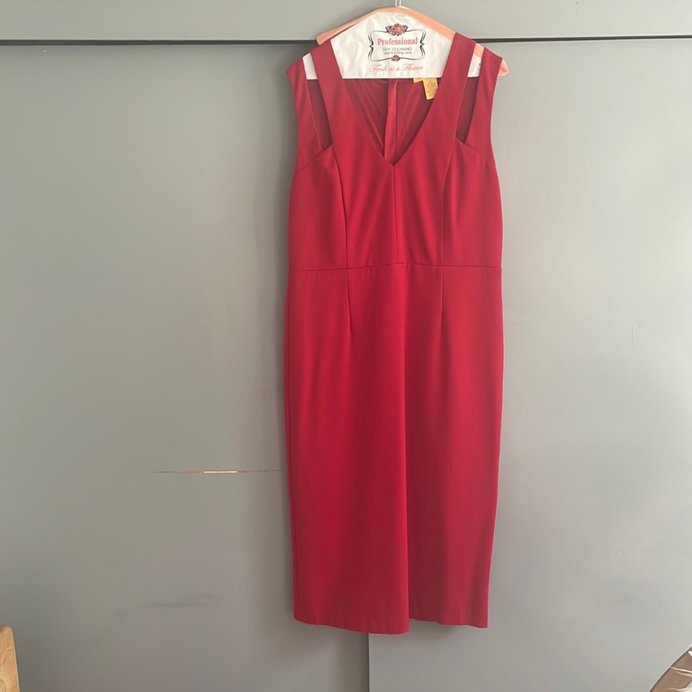 Catherine Malandrino gorgeous deep red lined dress